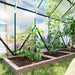 8 x 12FT Walk-in Aluminium Greenhouse Polycarbonate in Green - Little and Giant Explorers Outsunny