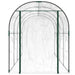 PVC & Powder-Coated Steel Transparent Greenhouse (160 x 400 x 190cm) - Little and Giant Explorers vidaXL