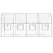 PVC & Powder-Coated Steel Transparent Greenhouse (160 x 400 x 190cm) - Little and Giant Explorers vidaXL