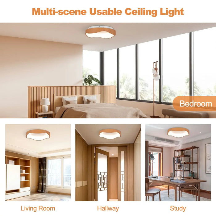 Ceiling light fixture shown in various room settings including bedroom, living room, hallway, and study.