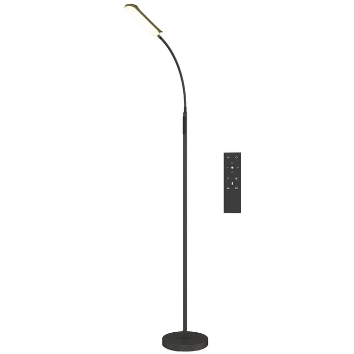 Black floor lamp with adjustable arm and remote control on a white background