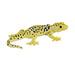 Leopard Gecko Toy - Realistic Reptile Model | Educational Wildlife Figurine MOJO FUN - Little and Giant Explorers Mojo Fun