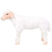 Plush toy sheep on a white background