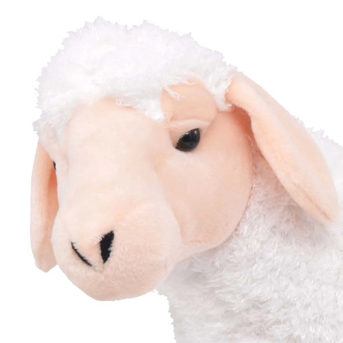 Close-up of a plush toy sheep on a white background