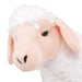 Close-up of a plush toy sheep on a white background