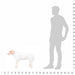 Comparison of a toy sheep and a person's silhouette with a scale on a white background