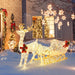 Lighted Reindeer and Santa Sleigh Decoration – Warm White | 215 LED Lights COSTWAY - Little and Giant Explorers Costway