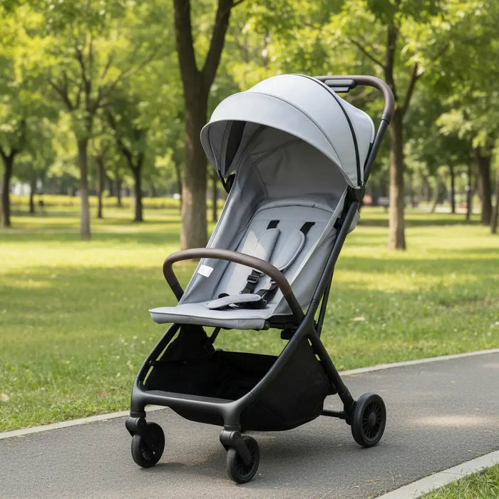 Gray stroller on a paved path in a park with green grass and trees.