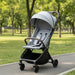 Gray stroller on a paved path in a park with green grass and trees.