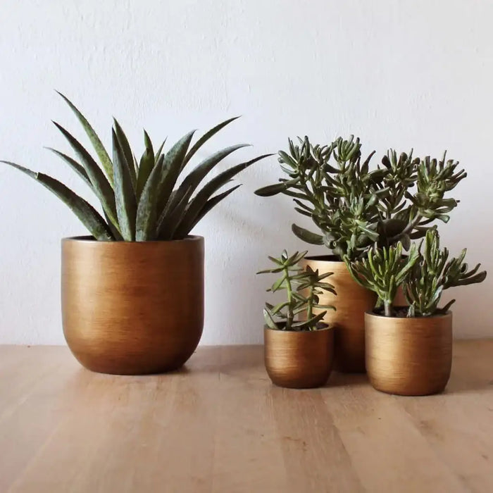 Set of four gold retro planters with succulents on a wooden surface indoors