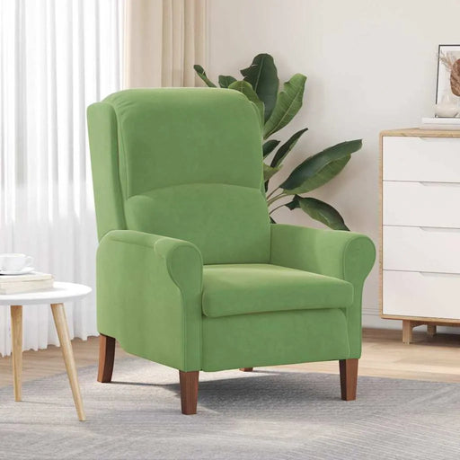 Modern Wooden Armchair – Light Green Velvet | Contemporary Design VIDAXL - Little and Giant Explorers