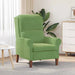 Modern Wooden Armchair – Light Green Velvet | Contemporary Design VIDAXL - Little and Giant Explorers