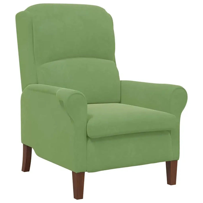 Modern Wooden Armchair – Light Green Velvet | Contemporary Design VIDAXL - Little and Giant Explorers