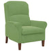 Modern Wooden Armchair – Light Green Velvet | Contemporary Design VIDAXL - Little and Giant Explorers