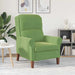 Modern Wooden Armchair – Light Green Velvet | Contemporary Design VIDAXL - Little and Giant Explorers