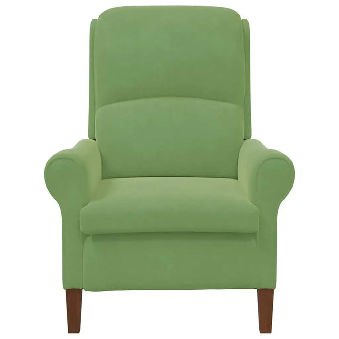 Modern Wooden Armchair – Light Green Velvet | Contemporary Design VIDAXL - Little and Giant Explorers