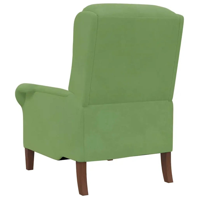 Modern Wooden Armchair – Light Green Velvet | Contemporary Design VIDAXL - Little and Giant Explorers