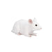 Mouse Toy - Realistic Small Animal Figurine | Educational Animal Model MOJO FUN - Little and Giant Explorers Mojo Fun
