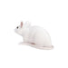 Mouse Toy - Realistic Small Animal Figurine | Educational Animal Model MOJO FUN - Little and Giant Explorers Mojo Fun