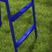 Blue metal swing set ladder frame on green grass outdoors