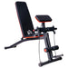 Adjustable Strength Training Sit-Up Ab Bench - Little and Giant Explorers HOMCOM
