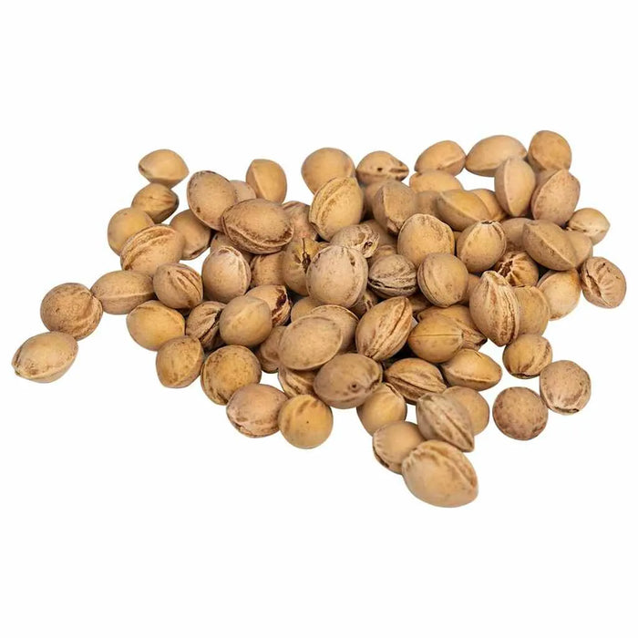 Natural Cherry Stones – 25 kg Heat and Cold Therapy Filling Material | DIY Crafts, Toys and Cushions VIDAXL - Little and Giant Explorers vidaXL