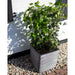 Anthracite ribbed flower pot with green vine plant on pebbled ground near a white wall