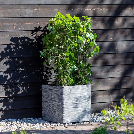 Anthracite ribbed flower pot with green plant, double-walled insulation, near wood wall