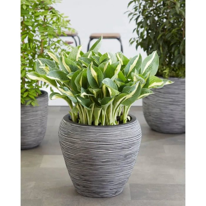 Nature Rib Tapered Vase in Anthracite (42 x 38cm) - Little and Giant Explorers Capi