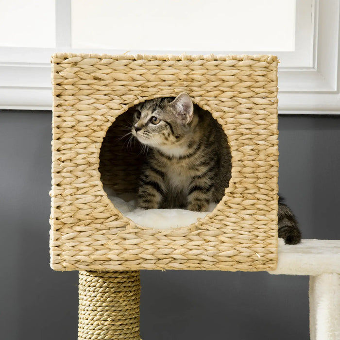Tabby kitten sitting inside woven cat condo with sisal scratching post in modern room