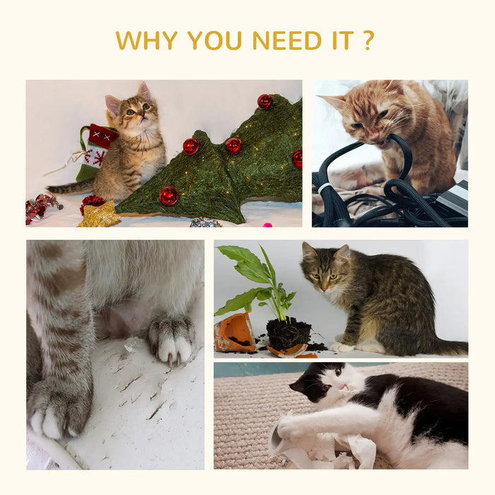 Collage showing cats causing damage: scratching furniture, chewing cables, knocking over plants, and tearing paper