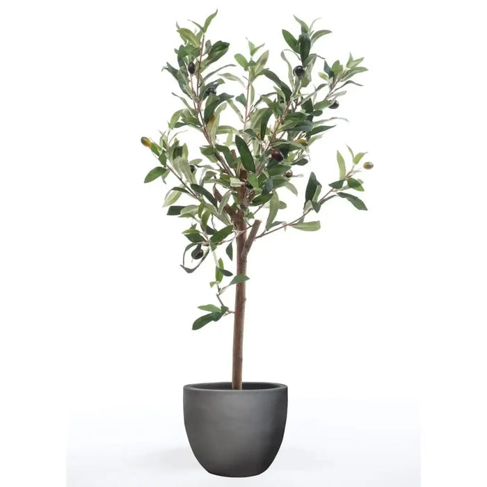 Artificial olive tree with green leaves and black olives in a gray pot on a white background