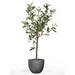 Artificial olive tree with green leaves and black olives in a gray pot on a white background