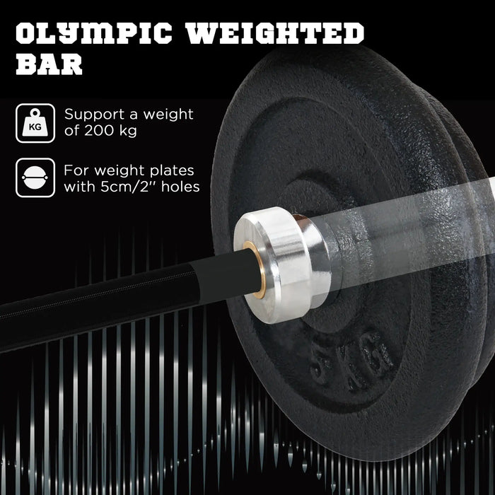 210cm Olympic Barbell Bar for 5cm Weight Plates with Spring Clips 20kg - Little and Giant Explorers SPORTNOW