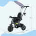 Children's tricycle with canopy on a white background