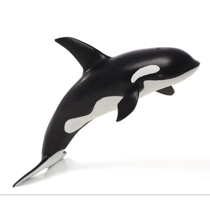 Orca Deluxe Toy - Realistic Marine Mammal Figure | Educational Ocean Model MOJO FUN - Little and Giant Explorers MojoFun
