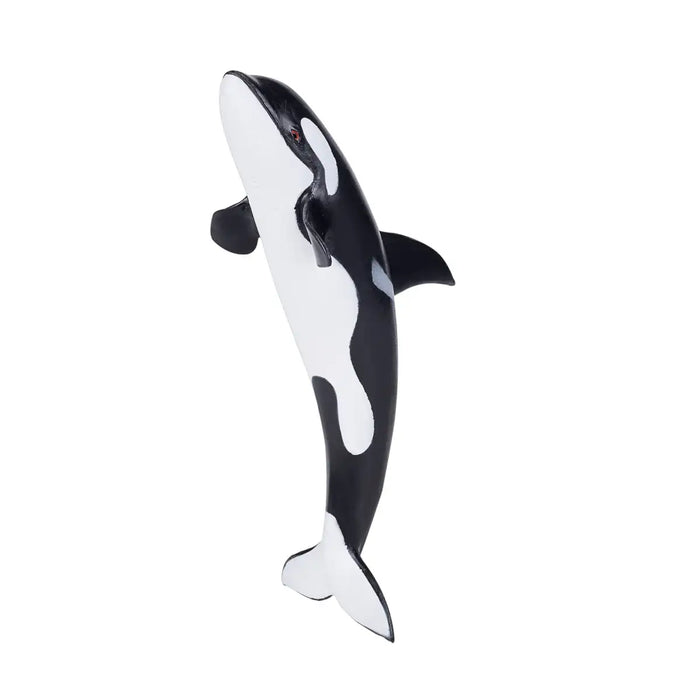 Orca Deluxe Toy - Realistic Marine Mammal Figure | Educational Ocean Model MOJO FUN - Little and Giant Explorers MojoFun