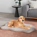 Orthopaedic Memory Foam Dog Bed – Beige | Waterproof Cover and Non-Slip Base COSTWAY - Little and Giant Explorers Costway