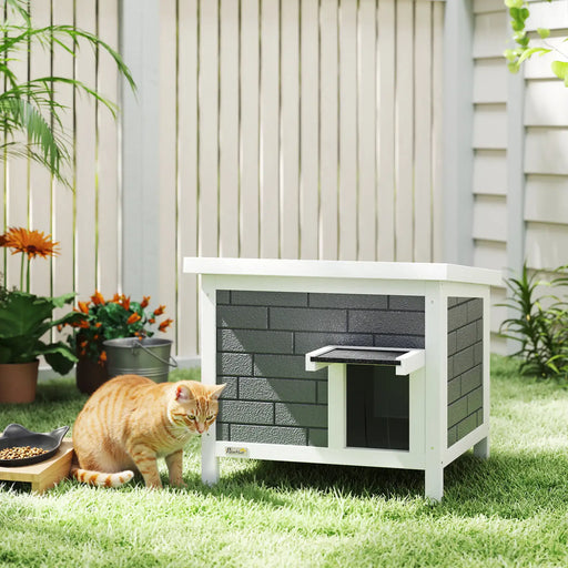 Cat standing next to a small outdoor cat house in a garden setting.