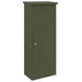 Outdoor Parcel Drop Box – Olive Green Steel Mailbox | Secure Locking System VIDAXL - Little and Giant Explorers vidaXL