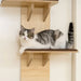 Over-the-Door Cat Shelf – Four-Tier Hanging Cat Tree | Space-Saving Design PAWHUT - Little and Giant Explorers PawHut