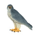 Peregrine Falcon Toy - Realistic Bird of Prey Model | Educational Bird Figurine MOJO FUN - Little and Giant Explorers Mojo Fun