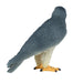 Peregrine Falcon Toy - Realistic Bird of Prey Model | Educational Bird Figurine MOJO FUN - Little and Giant Explorers Mojo Fun