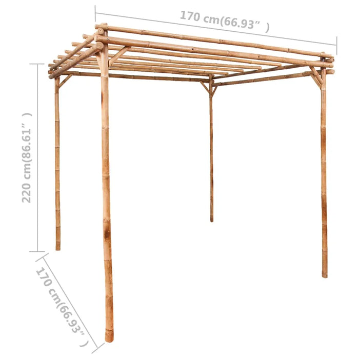 Pergola Bamboo (170 x 170 x 220cm) - Little and Giant Explorers vidaXL