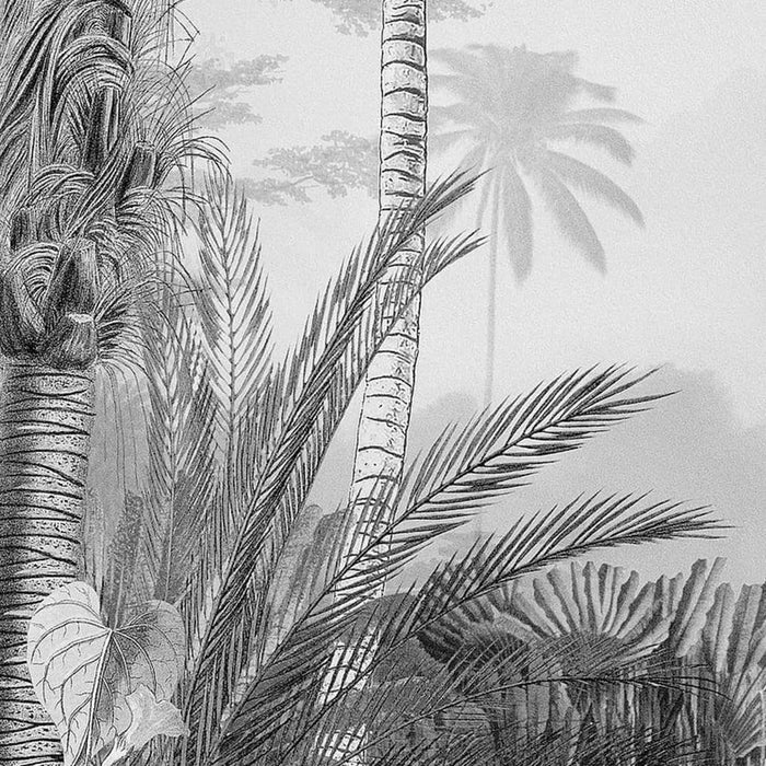 Photo Mural 'Lac Tropical' in Black & White (200 x 270cm) - Little and Giant Explorers Komar