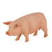 Pig (Sow) Toy - Realistic Farm Animal Model | Educational Farm Play MOJO FUN - Little and Giant Explorers Mojo Fun