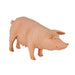 Pig (Sow) Toy - Realistic Farm Animal Model | Educational Farm Play MOJO FUN - Little and Giant Explorers Mojo Fun