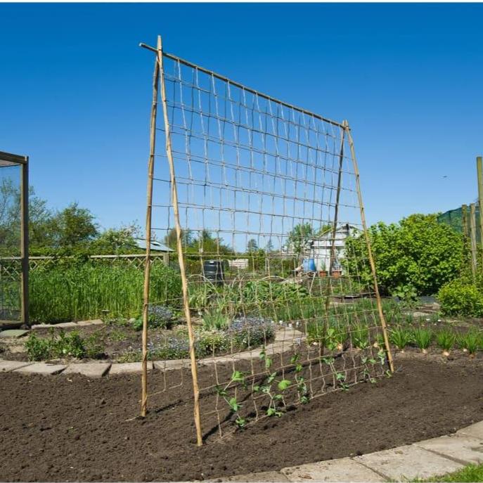 Plant Climbing Netting in Jute (1 x 3m) - Little and Giant Explorers Nature