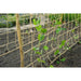 Plant Climbing Netting in Jute (1 x 3m) - Little and Giant Explorers Nature