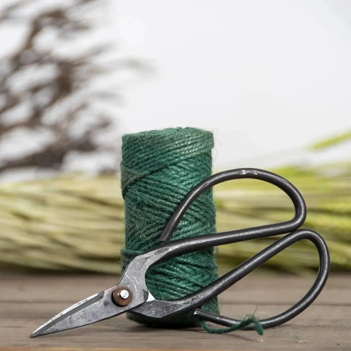 Green jute garden twine and black pruning scissors on wooden table, plant tie kit